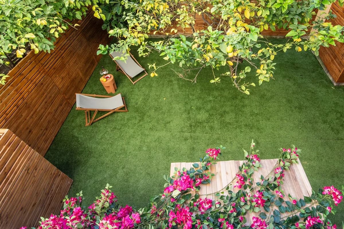 Aerial of garden with bougainvillea border and twin lounge chairs