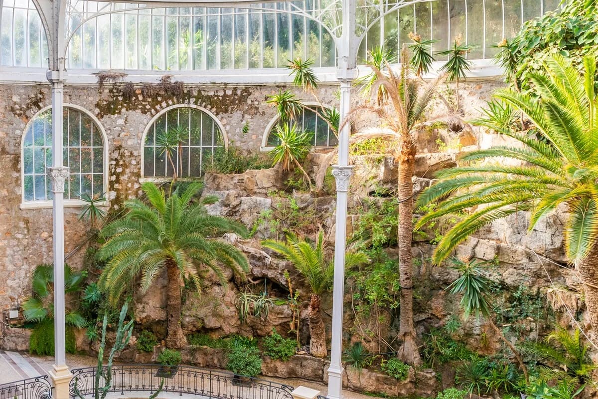 Glasshouse-roofed inner courtyard with palms against tufa stone walls